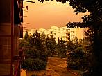 Borovina